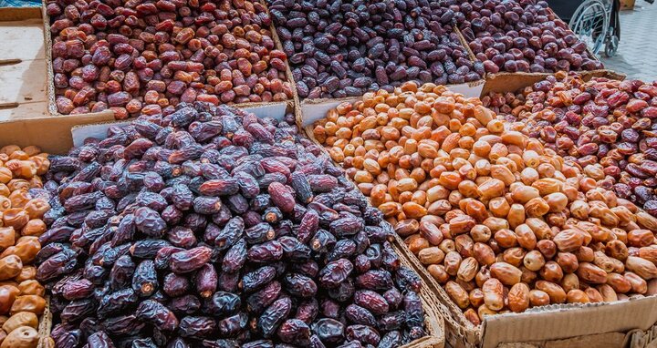 ایران با تولید خرما در رتبه دوم جهانی