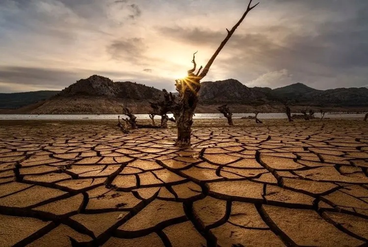 ایران و تگزاس
