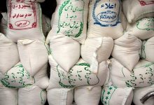 برنج های وارداتی