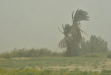 وزش باد و شرجی