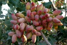 قیمت‌گذاری دست خریداران