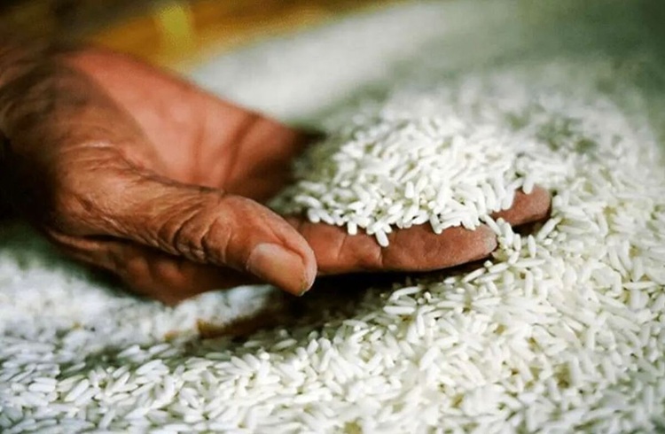 جهاد کشاورزی