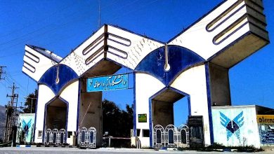 دانشگاه