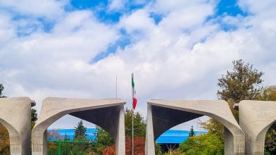 دکتری دانشگاه تهران