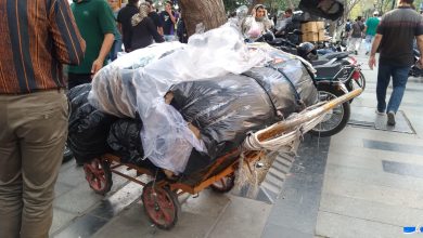 درآمد گاریچی