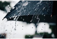 سازمان هواشناسی