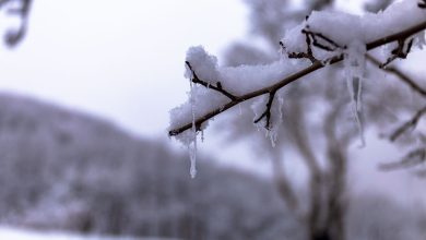 سازمان هواشناسی