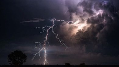 سازمان هواشناسی