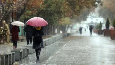 سازمان هواشناسی