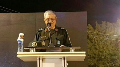 ظرفیت دفاعی