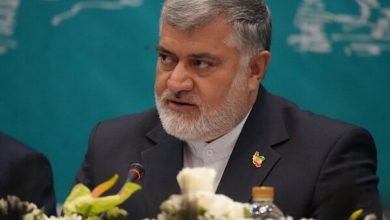 فاز دوم طرد اتباع غیرمجاز در استان تهران اجرایی می‌شود