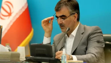 فرزین ارز ترجیحی