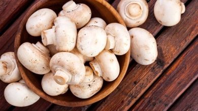 قارچ فله‌ای