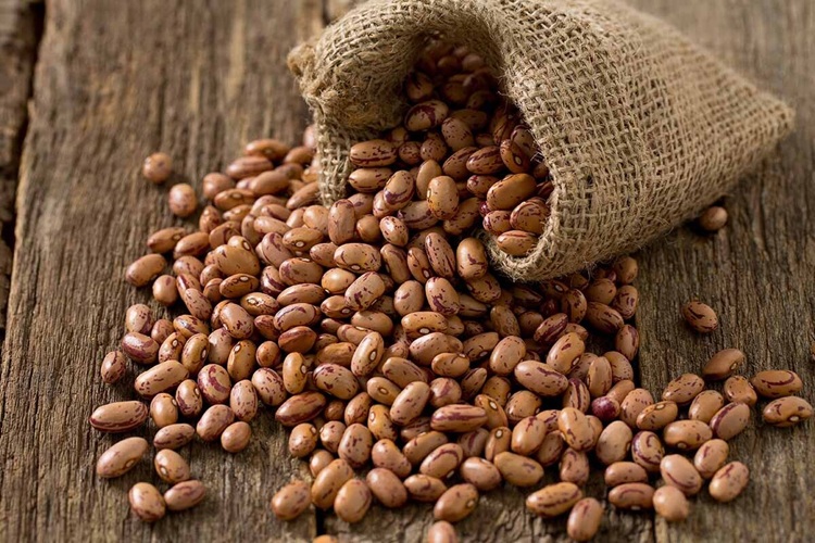 قیمت حبوبات