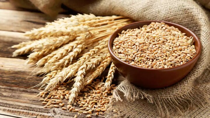 قیمت خرید تضمینی گندم