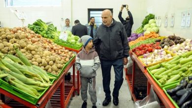 قیمت کاهو