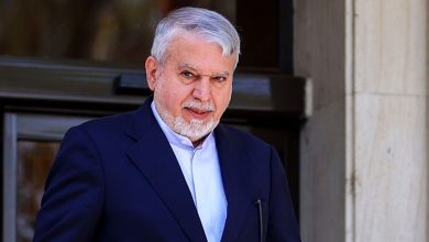 محمدرضا صالحی امیری