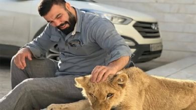 مرگ «لئو» باغ وحش ارم