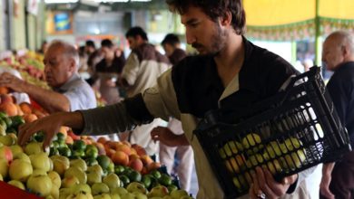 میادین تره‌بار