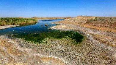 نابودی آرام دریاچه‌ها؛ بحران خاموش آب شیرین جهان