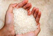 نرخ رسمی برنج ایرانی