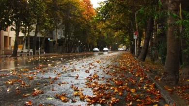 هشدار کارشناسان پاییز بی‌باران و تشدید بحران آب در ایران