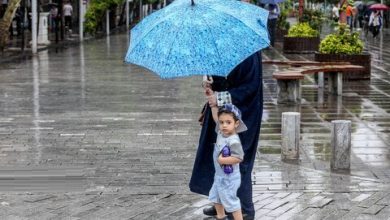 هواشناسی