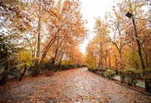 پاییز کم بارش