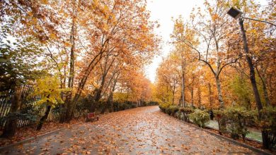 پاییز کم بارش