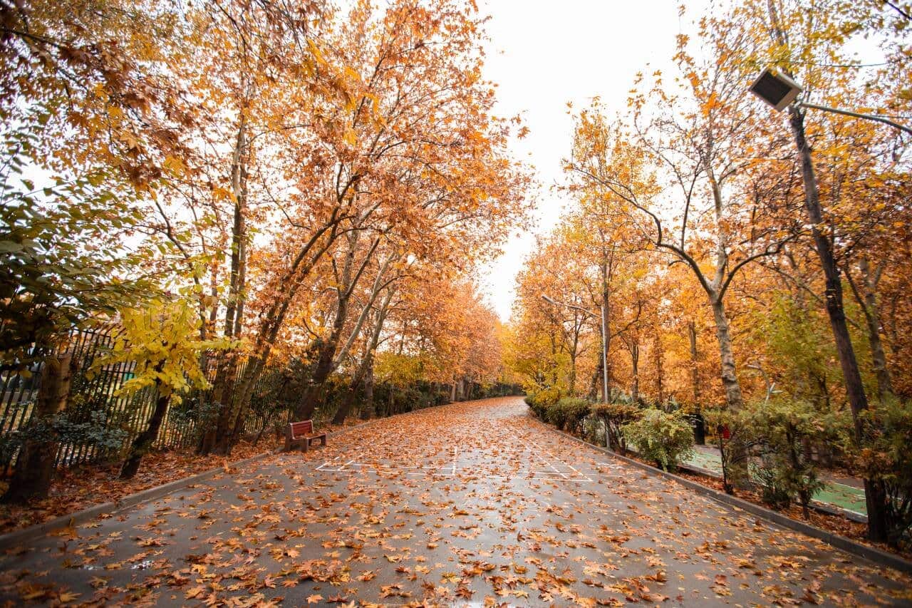 پاییز کم بارش