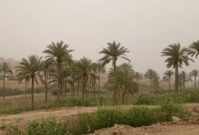 هواشناسی خوزستان