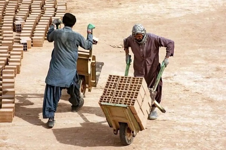 اخبار تازه از وزارت کار افغانستان؛ هیچ توافق کاری با ایران بسته نشده