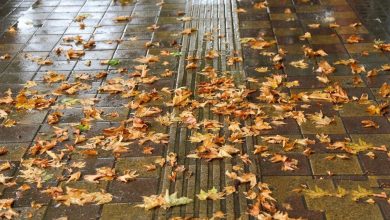 افزایش دما در کشور؛ گرما تا اسفند ۱۴۰۴ ادامه خواهد داشت