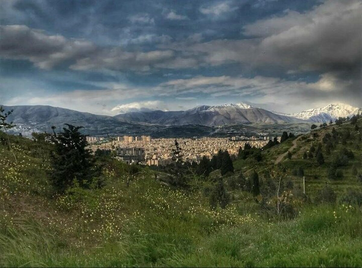 درخت مقاوم