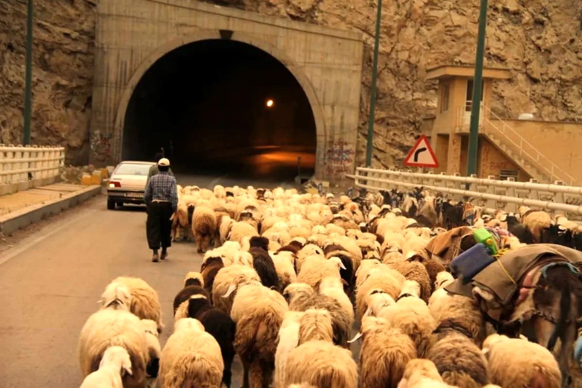 محدودیت تردد
