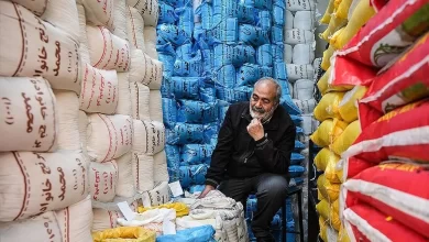 بازار برنج آرام خواهد شد