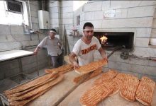 بربری کم‌سبوس‌ترین نان کشور شد؛ سنگک در صدر ارزش غذایی