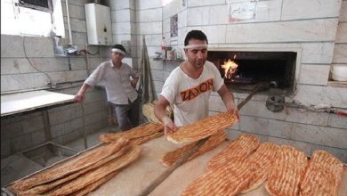 بربری کم‌سبوس‌ترین نان کشور شد؛ سنگک در صدر ارزش غذایی