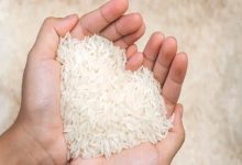 برنج وارداتی در راه است؛ آغاز ثبت سفارش پس از وقفه طولانی