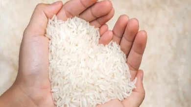 برنج وارداتی در راه است؛ آغاز ثبت سفارش پس از وقفه طولانی