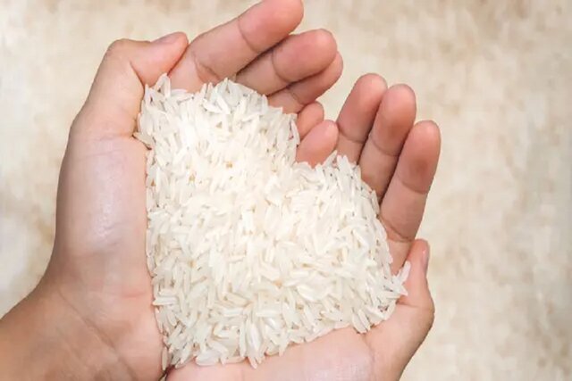 برنج وارداتی در راه است؛ آغاز ثبت سفارش پس از وقفه طولانی
