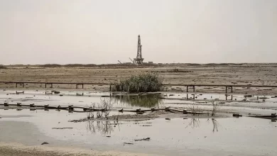 نفت در خشکی هورالعظیم