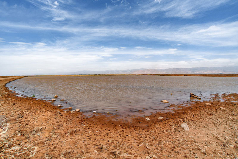 احیای تالاب