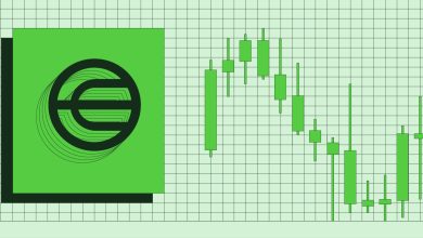 تحلیل تغییرات قیمت ارزهای دیجیتال در سال ۲۰۲۵