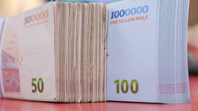 خبر خوب وزیر اقتصاد؛ پرداخت تسهیلات ویژه به این دهک‌ها