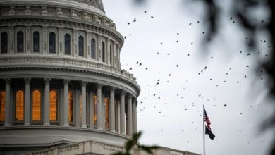 تعطیلی دولت آمریکا و جهش طلا