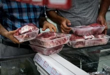 توزیع گوشت منجمد زیر ۶۰۰ هزار تومان از امروز در میادین تهران