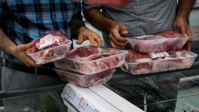 توزیع گوشت منجمد زیر ۶۰۰ هزار تومان از امروز در میادین تهران