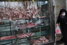 توزیع گوشت وارداتی برای کنترل قیمت‌ها آغاز شد؛ عرضه روزانه ۲۰۰ تن گوشت وارداتی