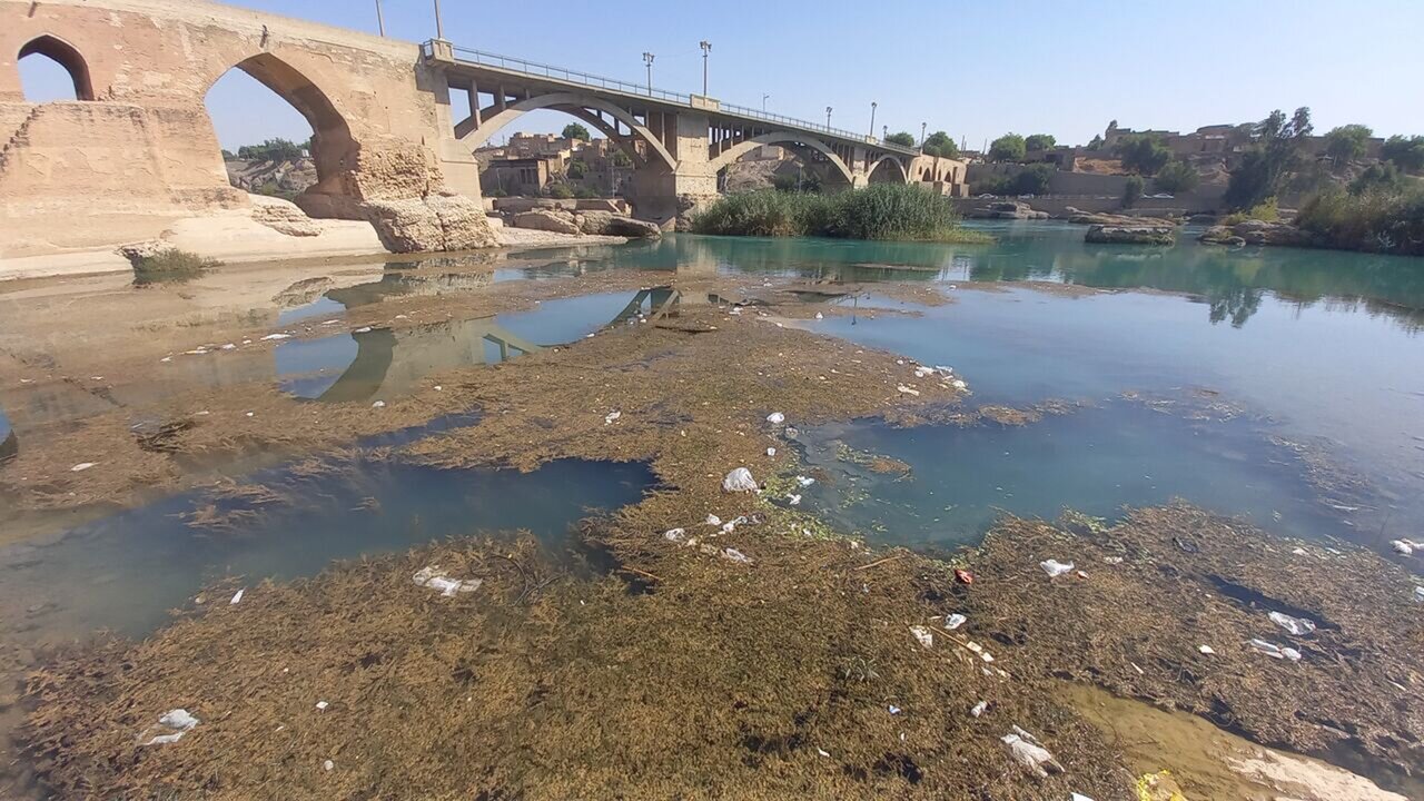 ورود فاضلاب